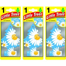 Little Trees Daisy Chain Papatya Aromalı Oto Kokusu 3 Adet