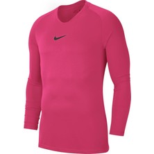 Nike M Nk Dry Park Erkek T-Shirt