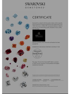 Swarovski 925 Ayar Gümüş Göz Temalı Kolye