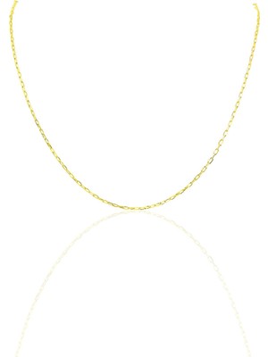 Söğütlü Silver Gümüş Altın Rengi 45 cm Figaro Zincir