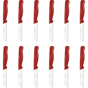 Simli Desen Meyve Bıçağı 12'li Kırmızı