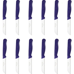 Simli Desen Meyve Bıçağı 12'li Mor