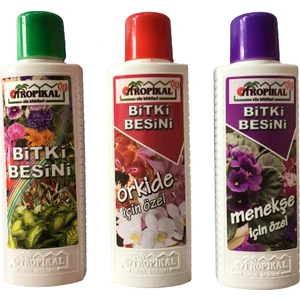 Bitki Besini 3'Lü Set