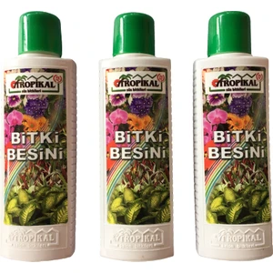 Bitki Besini 3'Lü Set