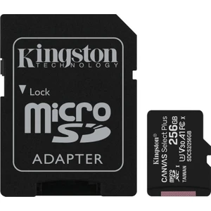 Canvas Select Plus 256 GB 100 MB/s SDCS2/256 GB A1 C10 Micro SD Kart