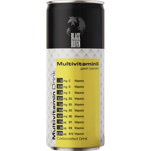 Black Bruin Multivitamin 250 ml x 24'lü