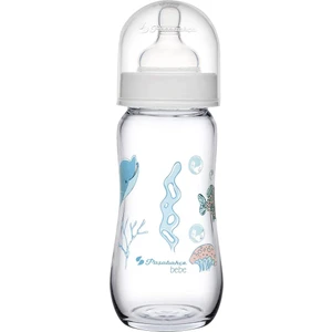 Cam Biberon 240 ml Desenli Bpa Free 1 Adet