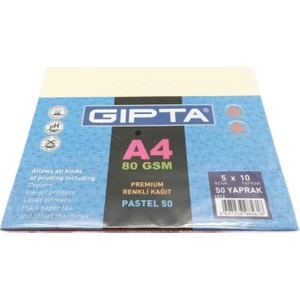 A4 Renkli Premium Renkli Kağıt Pastel 50