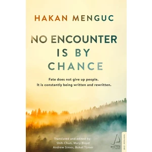No Encounter İs By Chance - Hakan Mengüç