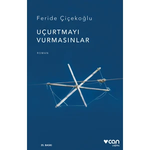 Uçurtmayı Vurmasınlar - Feride Çiçekoğlu