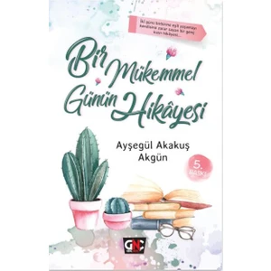 Bir Mükemmel Günün Hikayesi - Ayşegül Akakuş Akgün