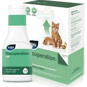 Recuperation Kedi Ek Besin Takviyesi 150 ml