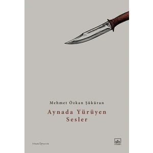 Aynada Yürüyen Sesler - Mehmet Özkan Şüküran