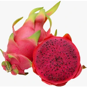 Kırmızı Pitaya Dragon Ejder Meyvesi Çelik Fidanı (Boy 20-30CM)