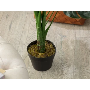 Madame Coco Arbre Saksılı Çiçek - Yeşil