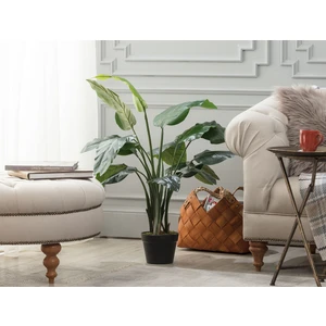 Madame Coco Floralies Saksılı Çiçek - Yeşil