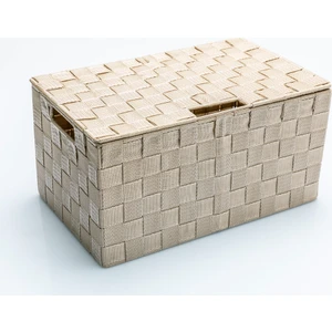 English Home Shine Polipropilen Kapaklı Saklama Kutusu 34 cm x 22 cm x 17,5 cm Bej