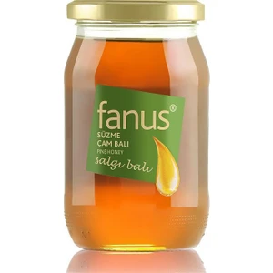 Çam Balı 460 gr