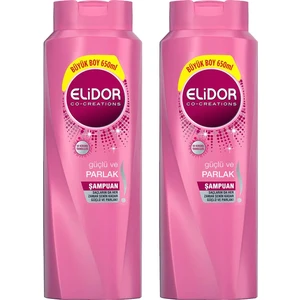 Şampuan Güçlü Parlak 650 ml ( 2 Adet )