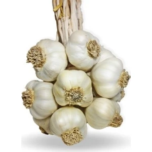 Kastamonu Taşköprü Sarımsağı 1 kg Iri Boy Sarımsak