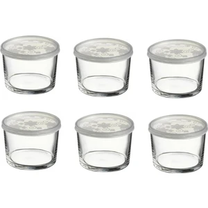 Kapaklı Cam Saklama Kabı 6'lı Set Sızdırmaz Tasarım 220 cc Çok Amaçlı Kullanım