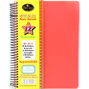 Star Spiralli A4 Plastik Kapak Ayraçlı Defter 8 Kareli+3 Çizgili+1 Düz 300 Yaprak