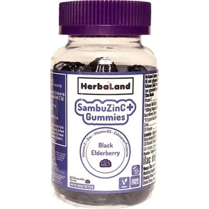 Gummies Sambuzinc Plus 60