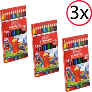 Uzun Kuru Boya 12'li 3 Adet
