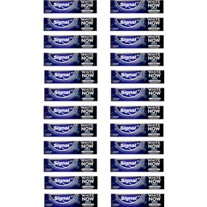 White Now Men Diş Macunu 75 ml x 24 Adet
