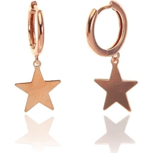 Söğütlü Si̇lver Yıldız Küpe