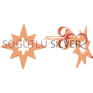 Söğütlü Si̇lver Kutup Yıldızı Küpe