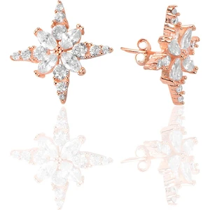 Söğütlü Si̇lver Gümüş Zirkon Taşlı Yıldız Küpe