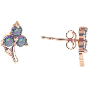 Söğütlü Si̇lver Gümüş Mistik Taşlı Minik Çiçek Küpe