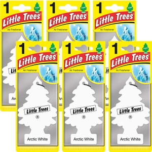 Little Trees Arctic White Ferahlığı Aromalı Oto Kokusu 6 Adet