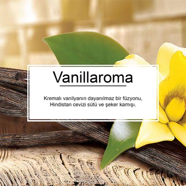 Little Trees 3 lu Vanillaroma Vanilya Aromal Asma Oto Fiyat