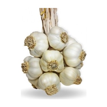 Kastamonu Taskopru Sarimsagi 1 Kg Safranbolu Lezzetleri