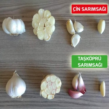 taskopruden kastamonu taskopru sarimsagi 1 kg duble boy fiyati