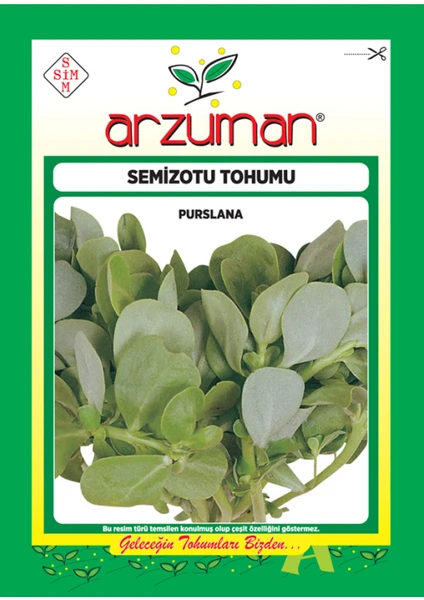 Semizotu Tohumu 25 gr