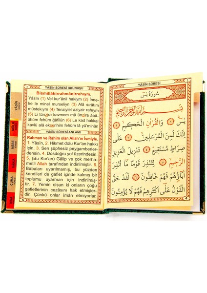 10 Adet Kadife Kaplı Yasin Kitabı - Allah Lafızlı - Çanta Boy - Yeşil - 1112 fiyatları
