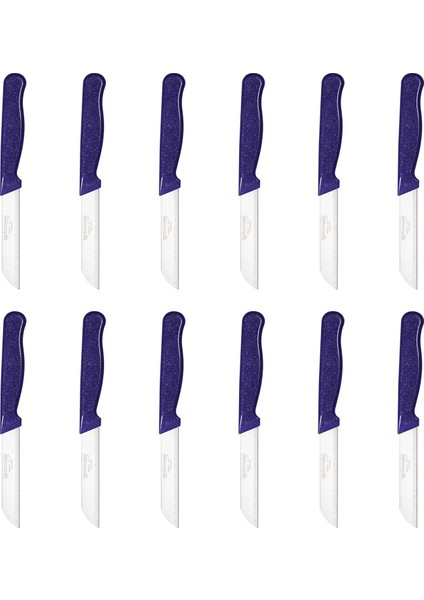 Simli Desen Meyve Bıçağı 12'li Mor