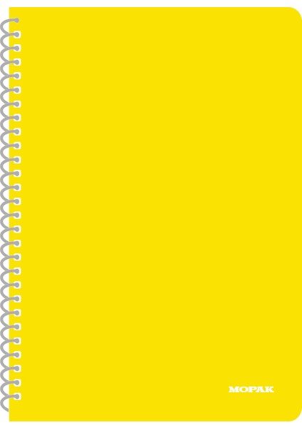 A4 Tam Boy Kareli Spiralli Telli Plastik Kapak Neon Renk Defter 144 Yaprak