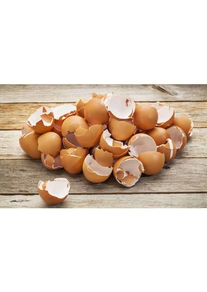 Yumurta Kabuğu Tozu-20Kg