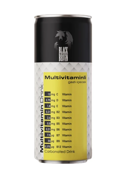 Black Bruin Multivitamin 250 ml x 24'lü