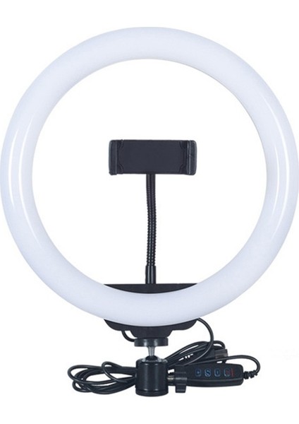 10" 26 cm 3 Renk LED Ring Sürekli Işık