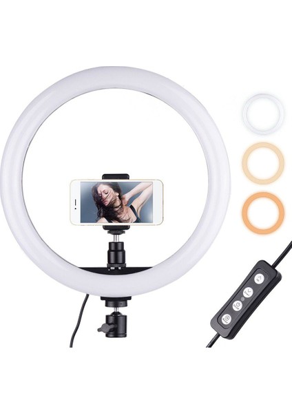 10" 26 cm 3 Renk LED Ring Sürekli Işık