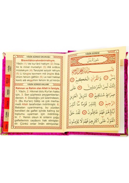 20 Adet Kadife Kaplı Çanta Boy Yasin Kitabı Allah Lafızlı İsme Özel Plakalı Fuşya 1113 fiyatları