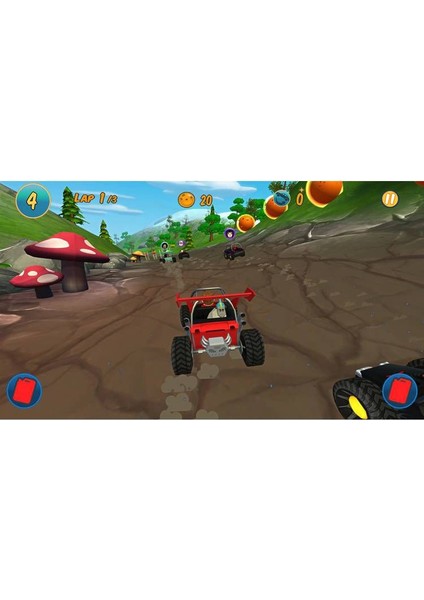 Rally Racers Nintendo Switch Oyun