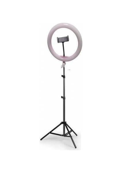 14" Youtuber Video Oda Çekimleri İçin Ring Light Sürekli Beyaz LED Işık + 2 m Stand