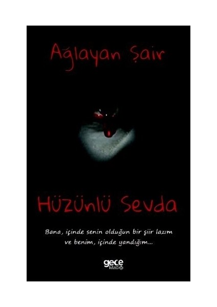 Hüzünlü Sevda