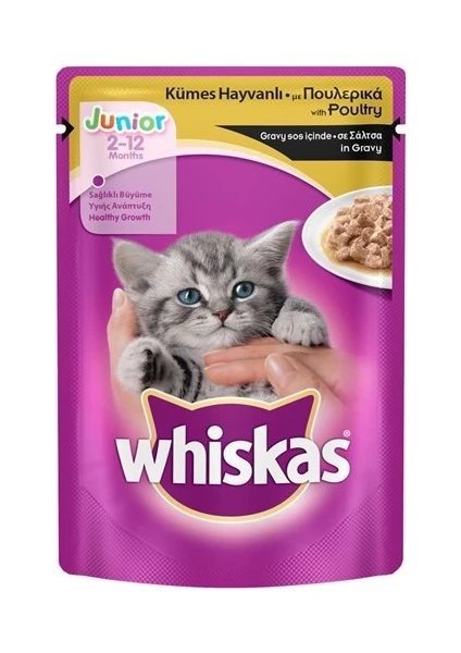 Pouch Yavru Kümes Hayvanlı Yaş Kedi Maması 85 Gr x 24 Adet